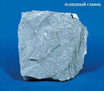 Аспидные 12 Аспидный сланец