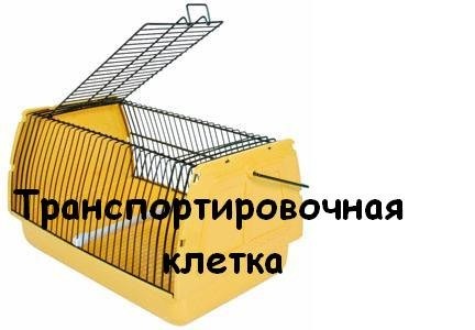 Приобретение волнистого попугая 8 Приобретение волнистого попугая